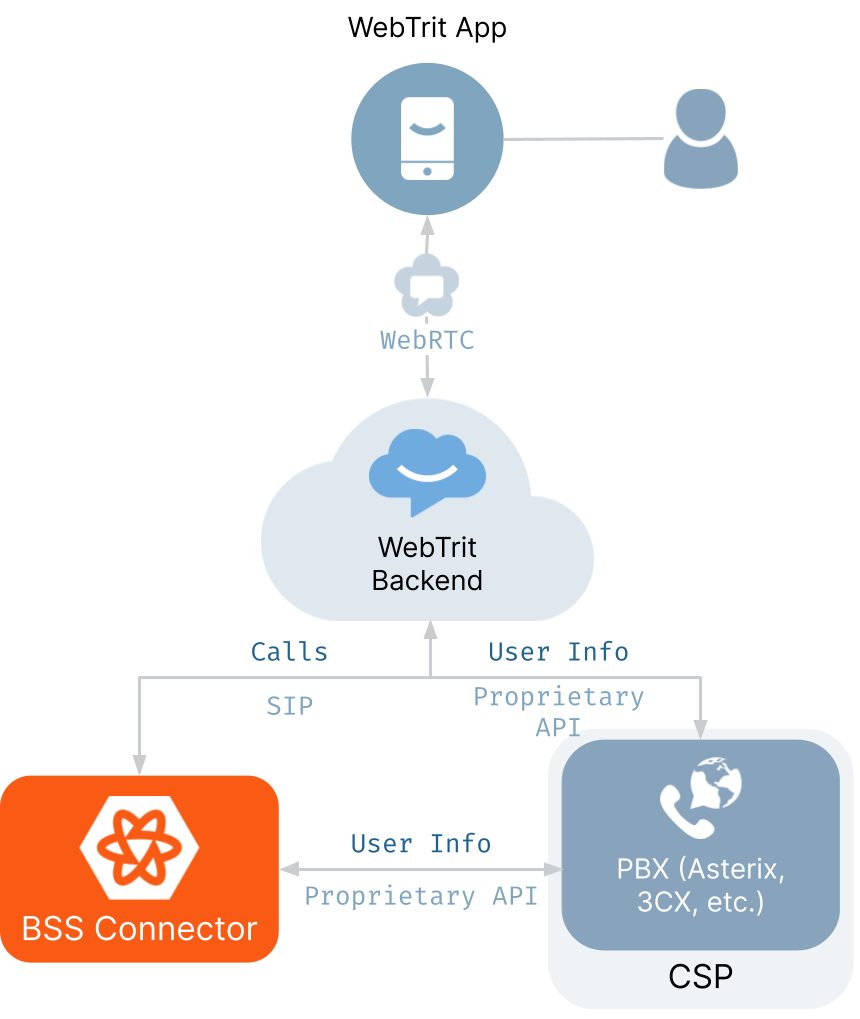 IP PBX systems